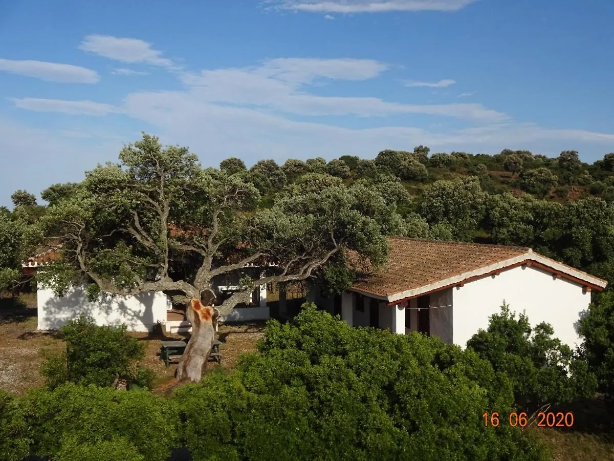 Alloggio per agriturismo Agriturismo Conca' E Janas Dorgali