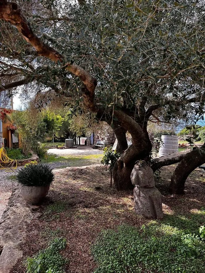 Agriturismo Conca' E Janas Dorgali