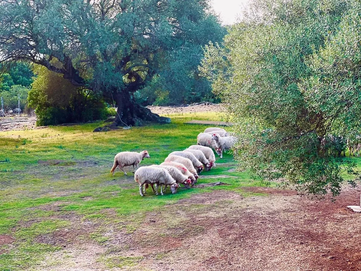 Agriturismo Conca' E Janas Dorgali Farm stay