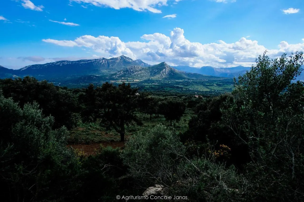 Agriturismo Conca' E Janas Dorgali Farm stay