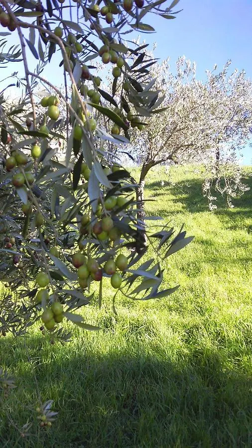 Farm stay Agriturismo Conca' E Janas Dorgali