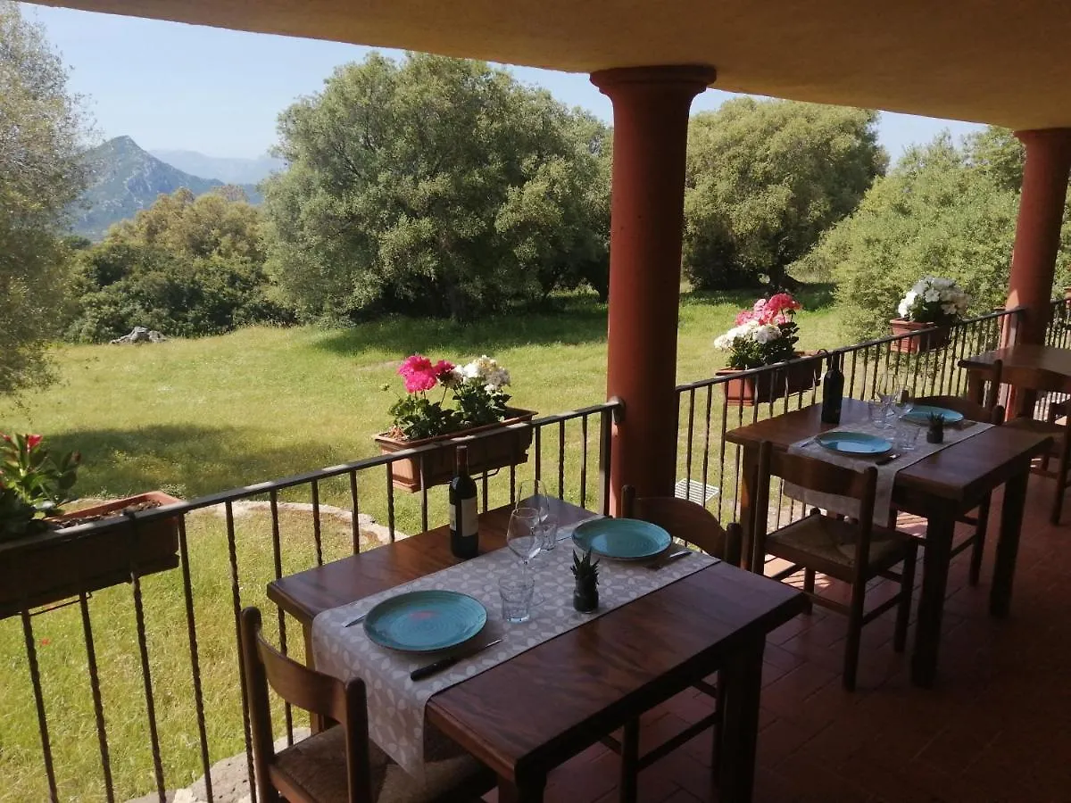 Alloggio per agriturismo Agriturismo Conca' E Janas Dorgali
