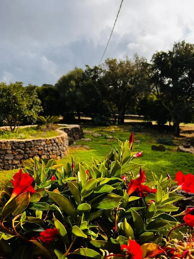 Agriturismo Conca' E Janas Dorgali 0*,