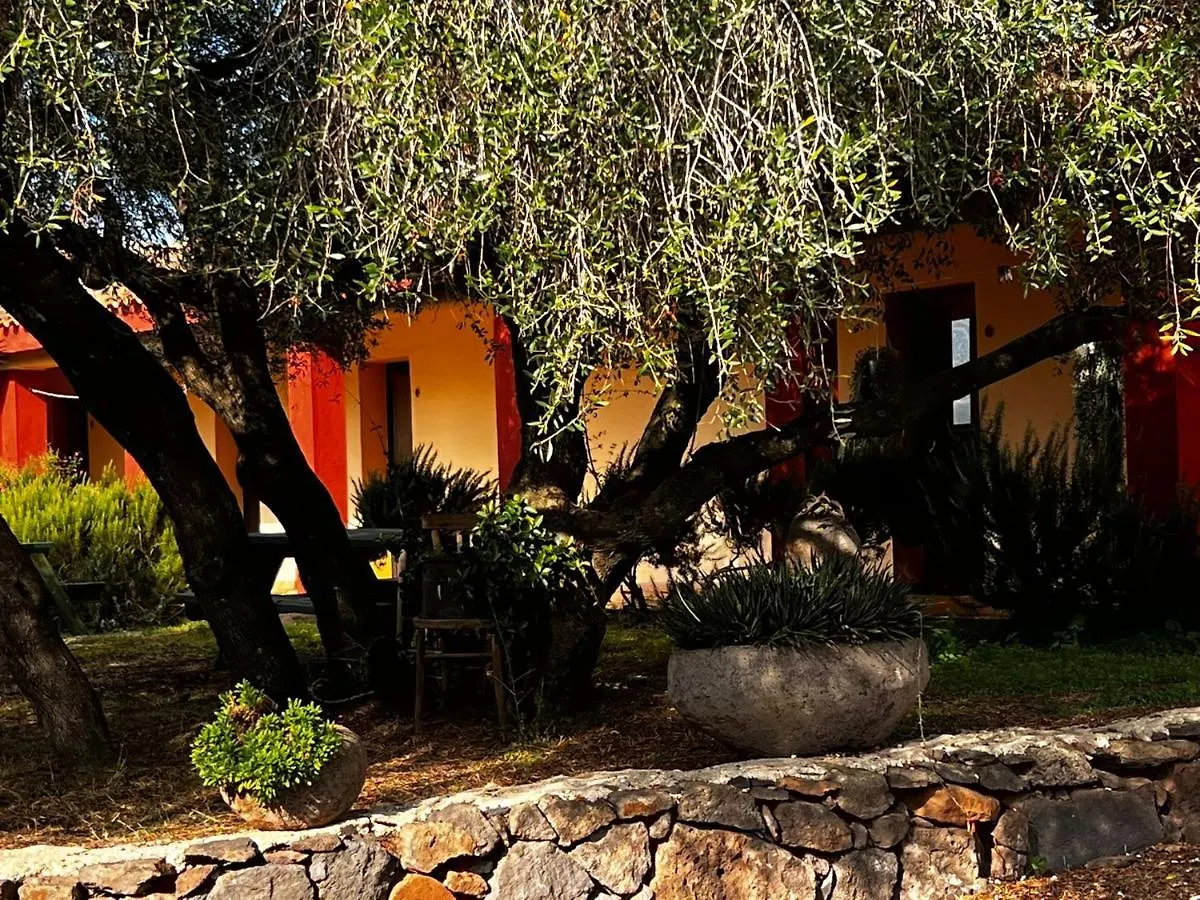 Agriturismo Conca' E Janas Dorgali 0*,