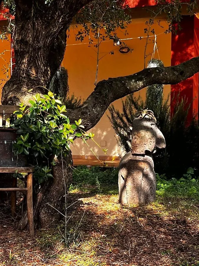 Vakantieboerderij Agriturismo Conca' E Janas Dorgali