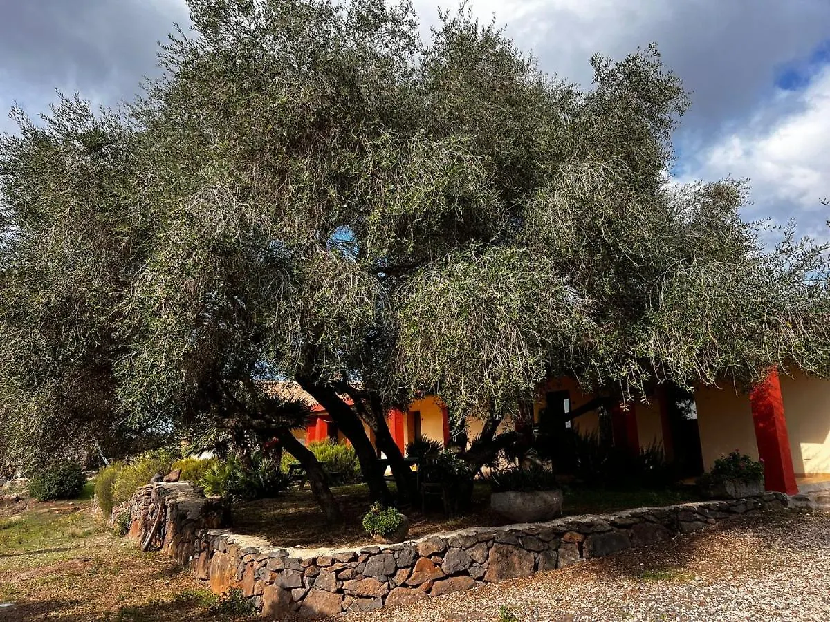 Agriturismo Conca' E Janas Dorgali Italië