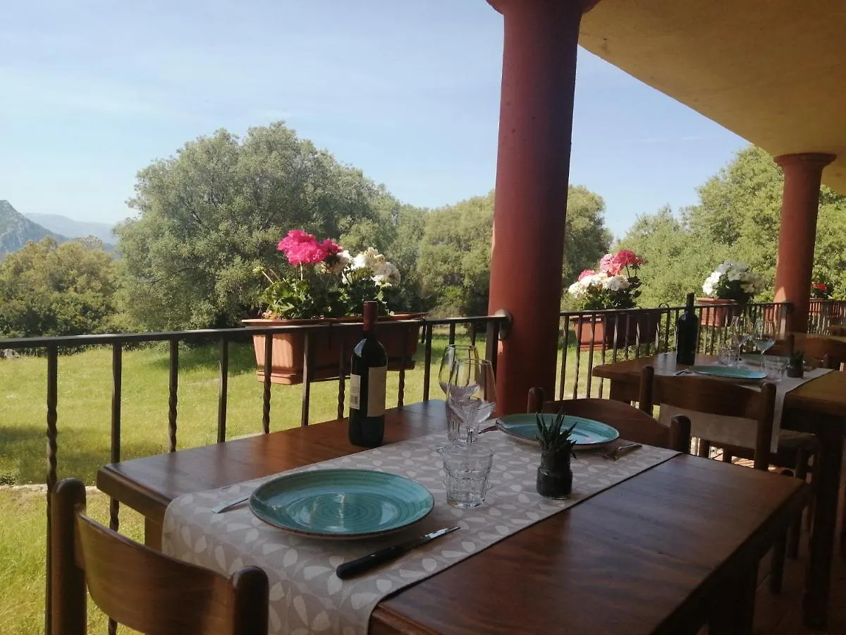Vakantieboerderij Agriturismo Conca' E Janas Dorgali Italië