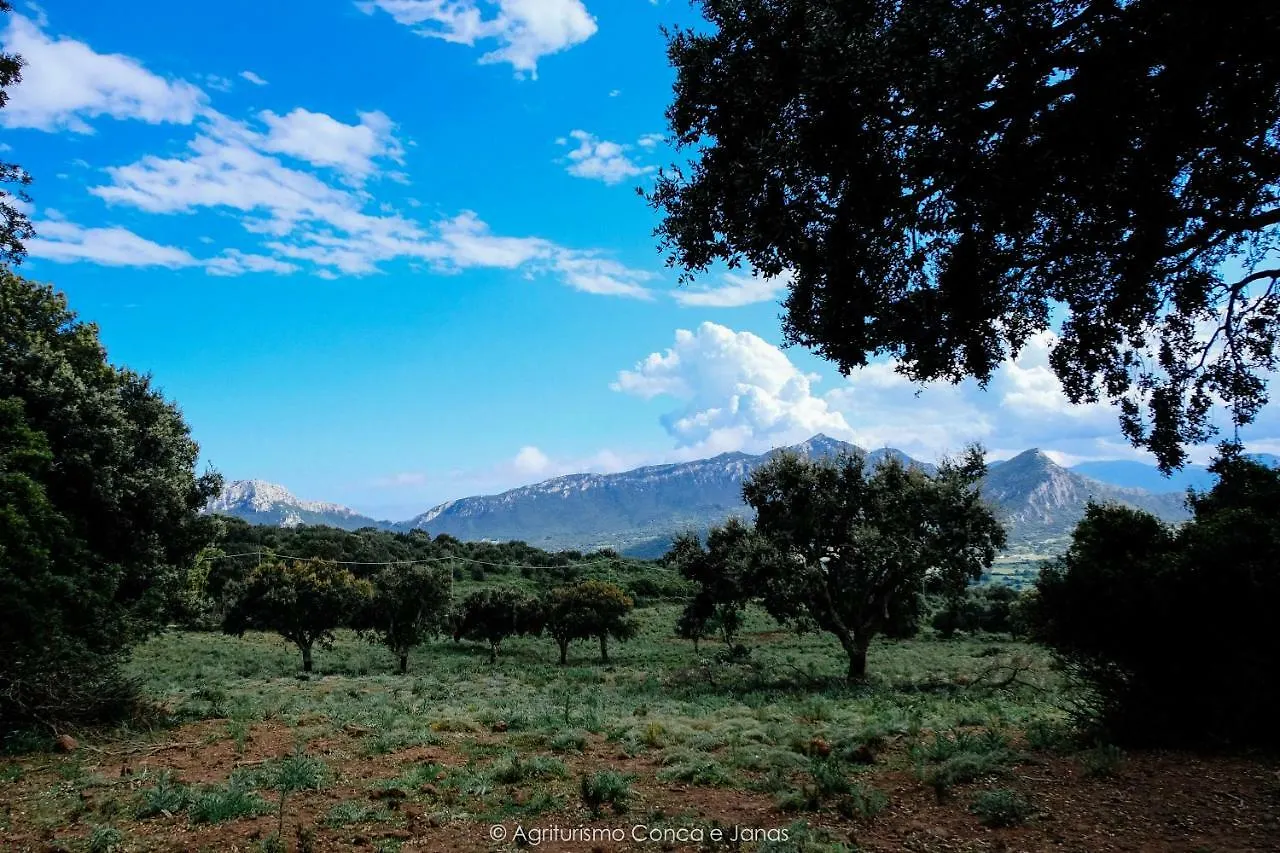 Agriturismo Conca' E Janas Dorgali Vakantieboerderij