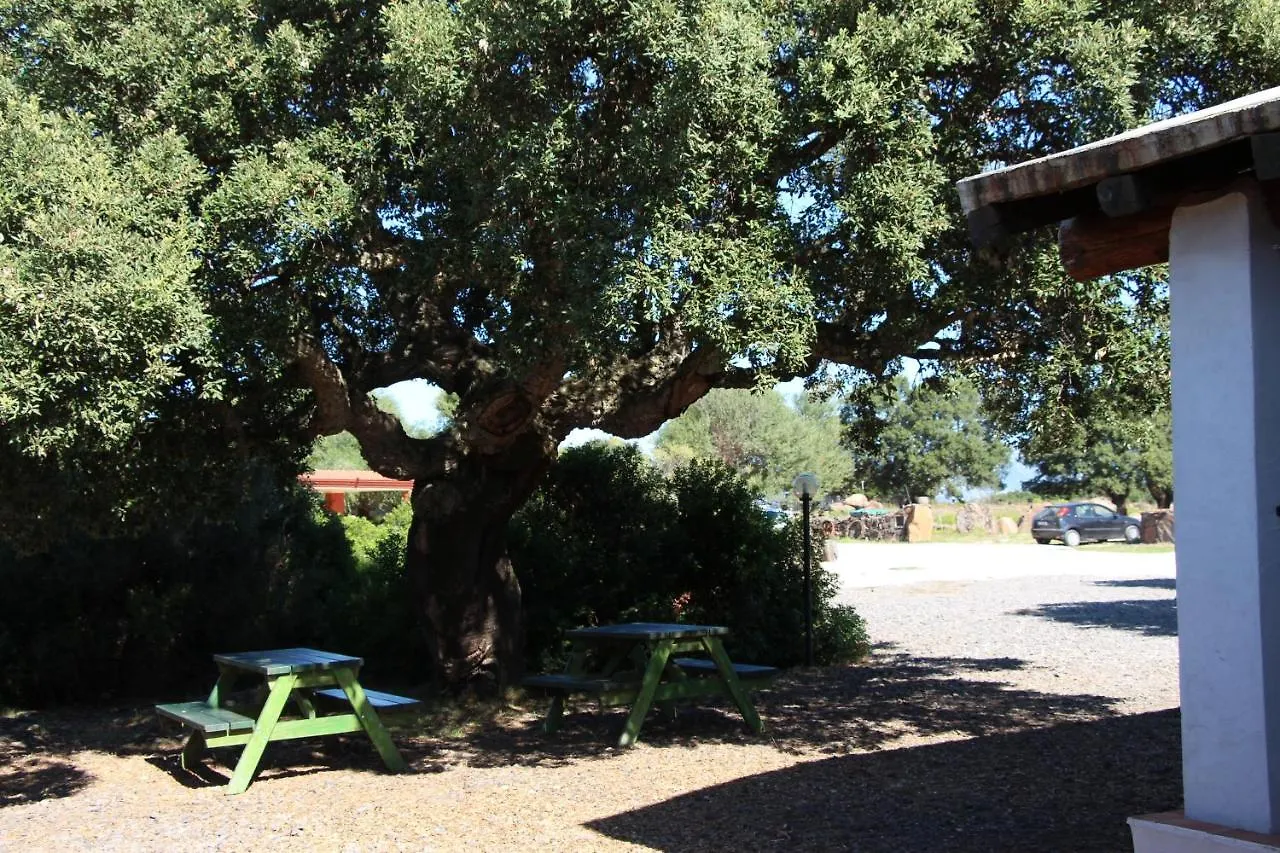 Vakantieboerderij Agriturismo Conca' E Janas Dorgali